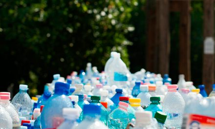 El plástico en Canarias