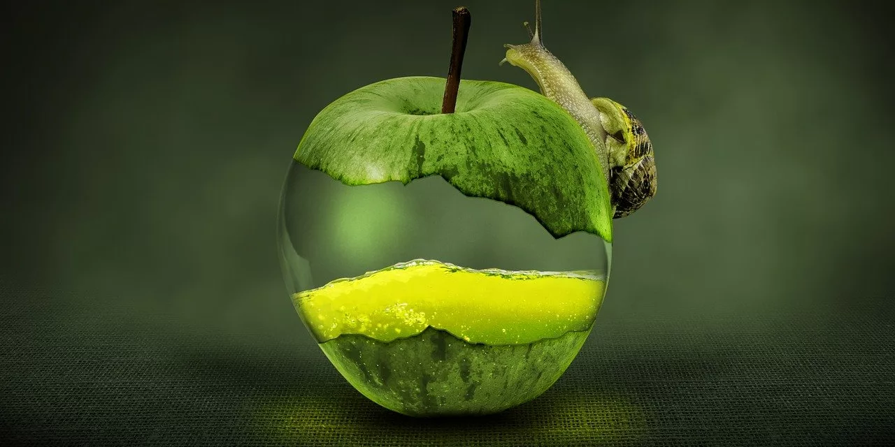 Los residuos orgánicos en Canarias