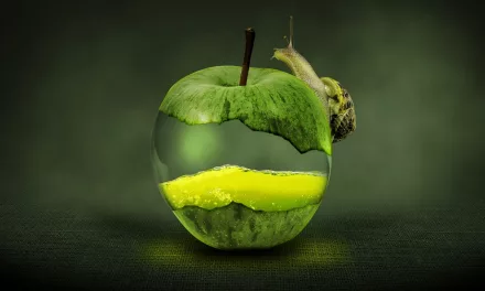 Los residuos orgánicos en Canarias