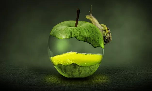 Los residuos orgánicos en Canarias